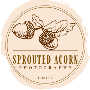 Sprouted Acorn Photography